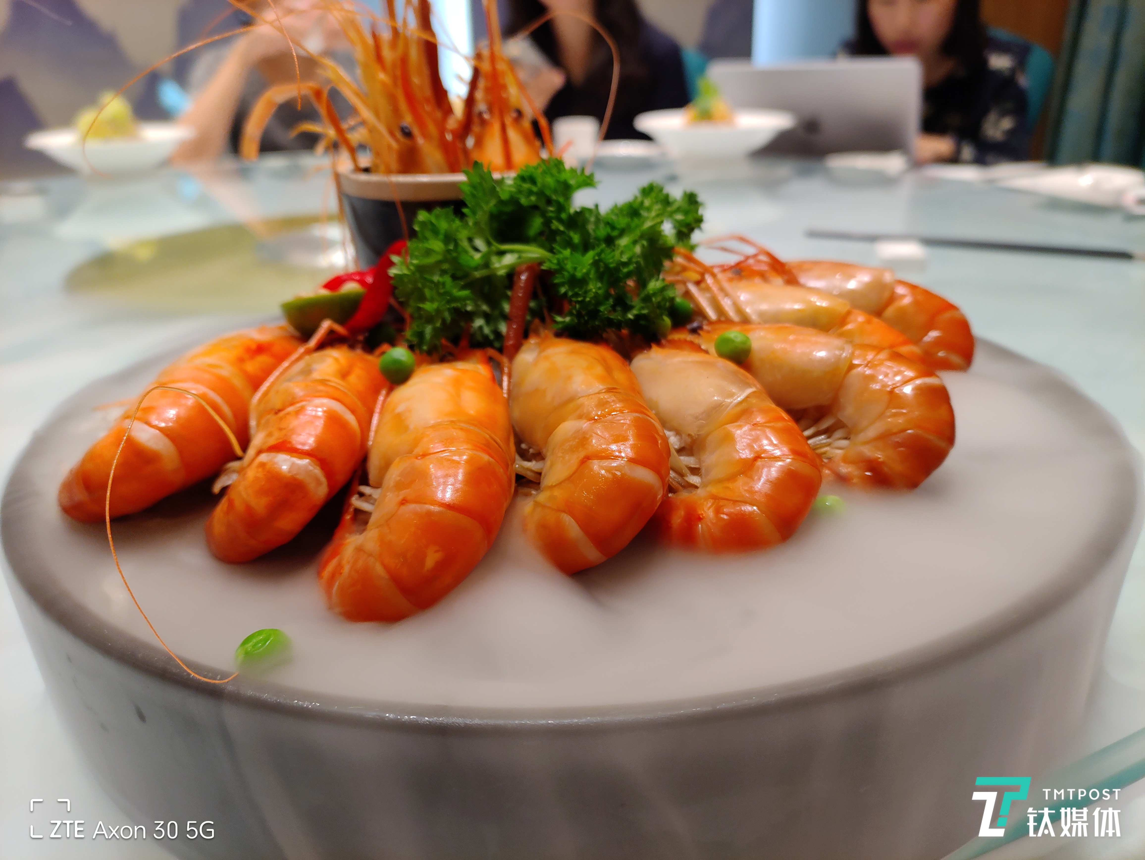 Axon30 5G-主摄样张2