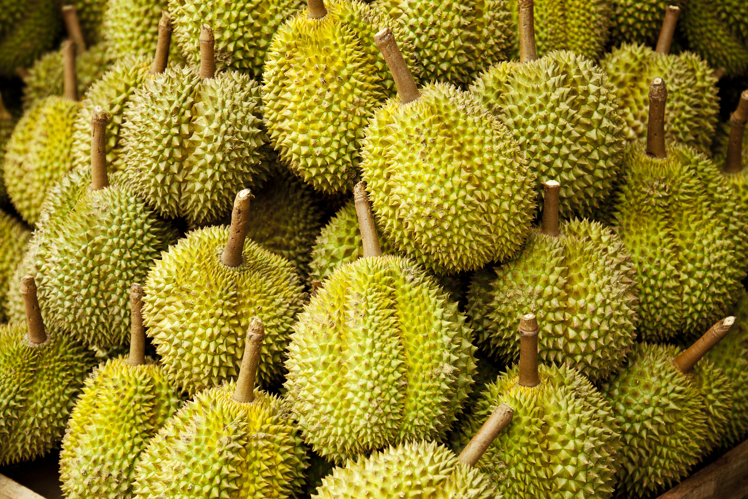 这个广西小城，承包你的水果自由