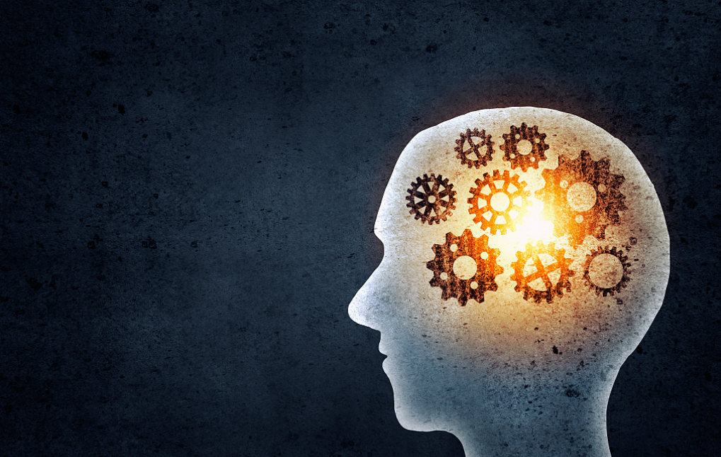 图片来源@视觉中国