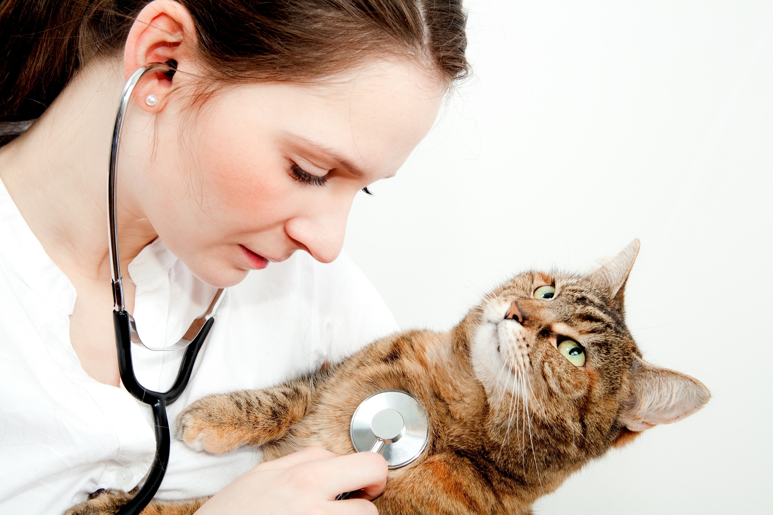 图片来源@视觉中国