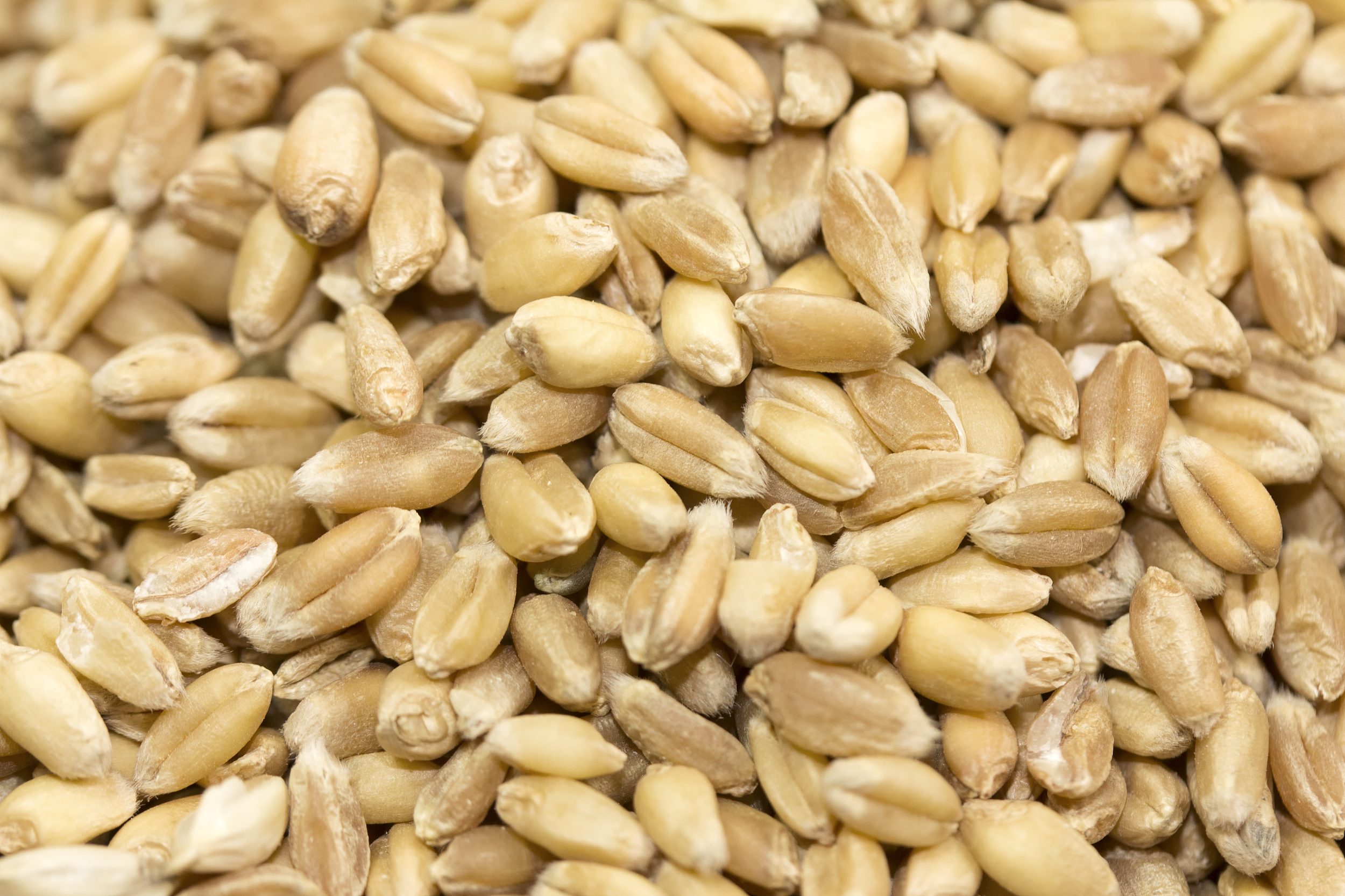 图片来源@视觉中国