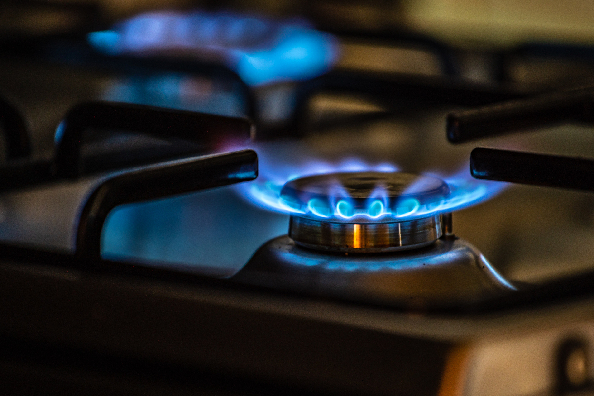 图片来源@视觉中国