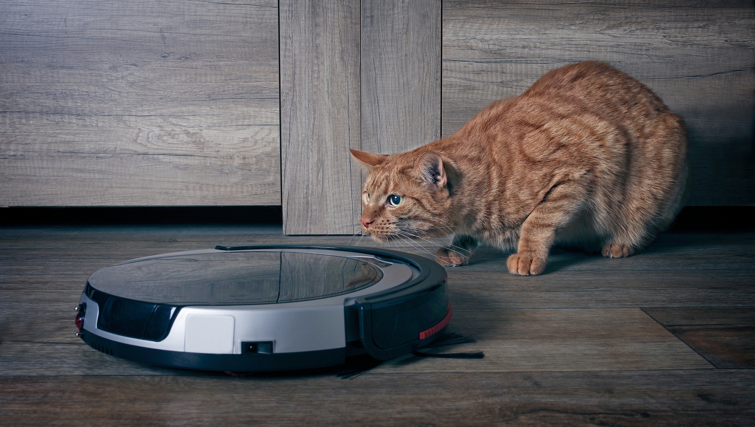 小家电种草：一场瞄准女性理想生活的“精致阳谋”