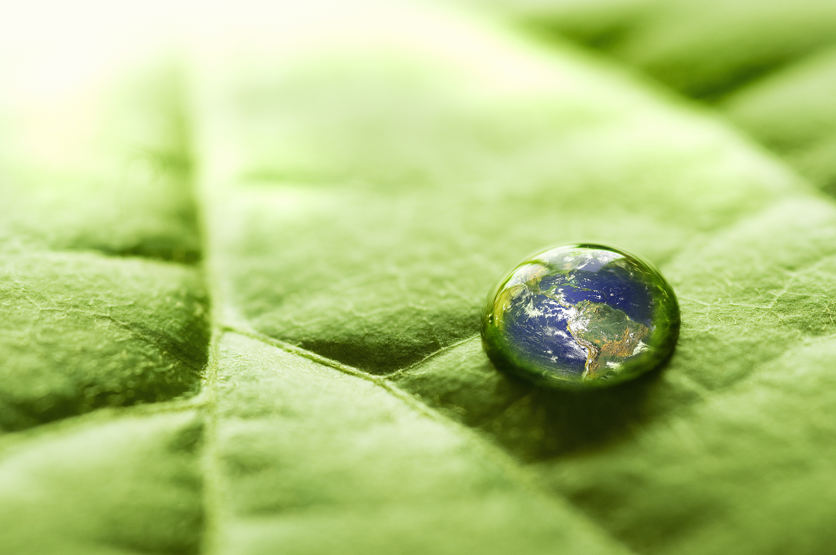 除了高瓴和红杉，还有谁在悄悄布局碳中和？