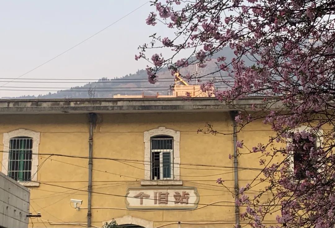 云南个旧：能成为年轻人的伊甸园吗？