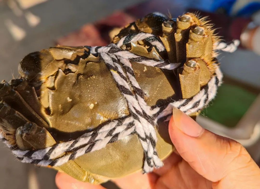 社交硬通货、千亿大市场，为何就找不出下一个“阳澄湖”？