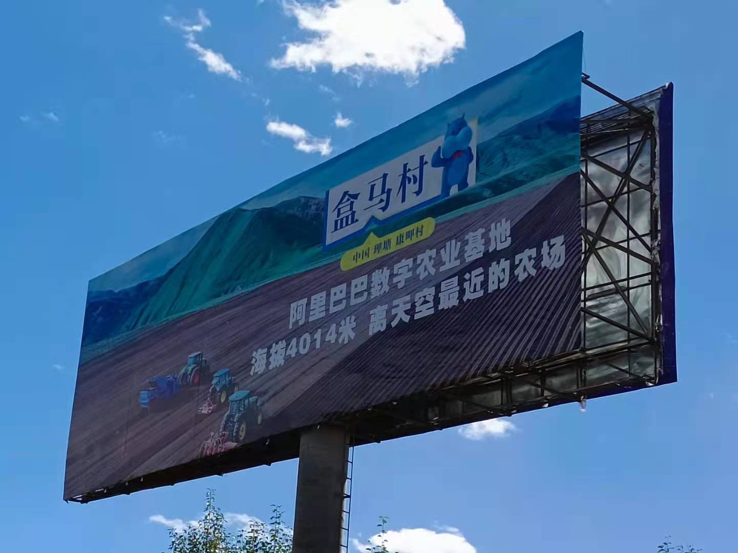 “高山鲜”草莓提前上市背后，盒马持续加码基地直采