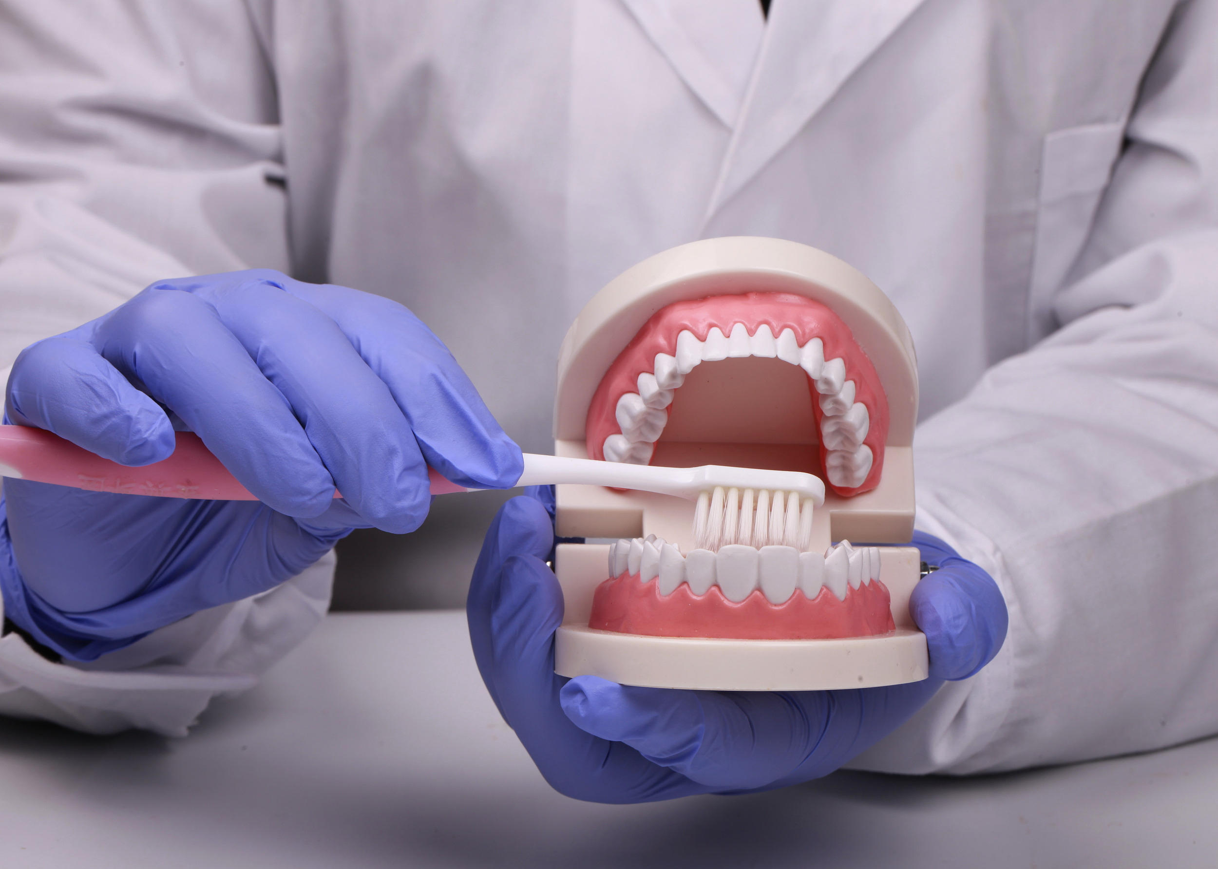 “牙茅”的天花板，原来就在家门口？