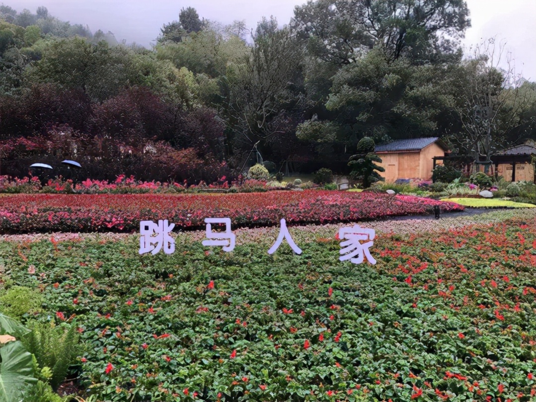 省花博会，或将成为跳马百亿产业的跳板