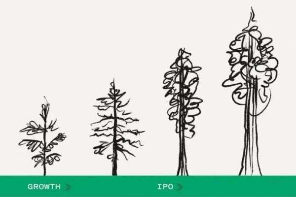 红杉基金：战绩最优秀的硅谷VC，将完成风投史上最激进的转型