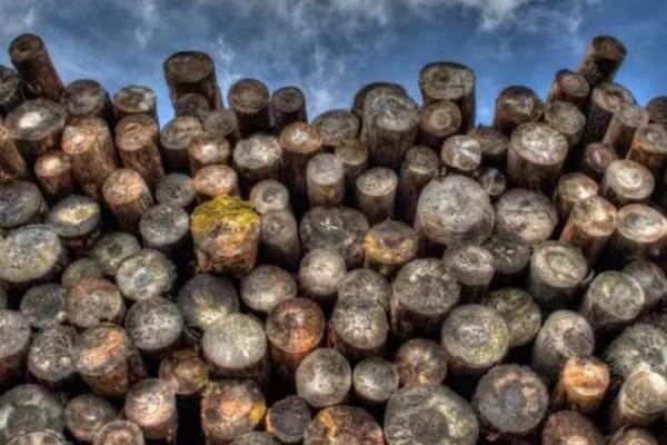 全球“纸贵”，零售“知秋”