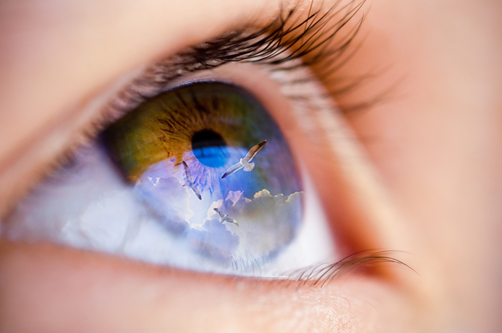 彩瞳品牌获10亿元融资，美女的眼睛为何如此金贵？