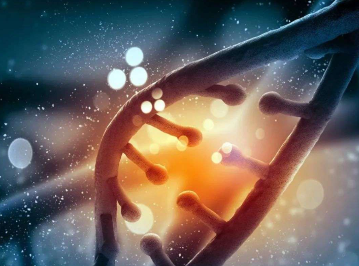 为什么黄峥、王小川都开始“炼丹”？