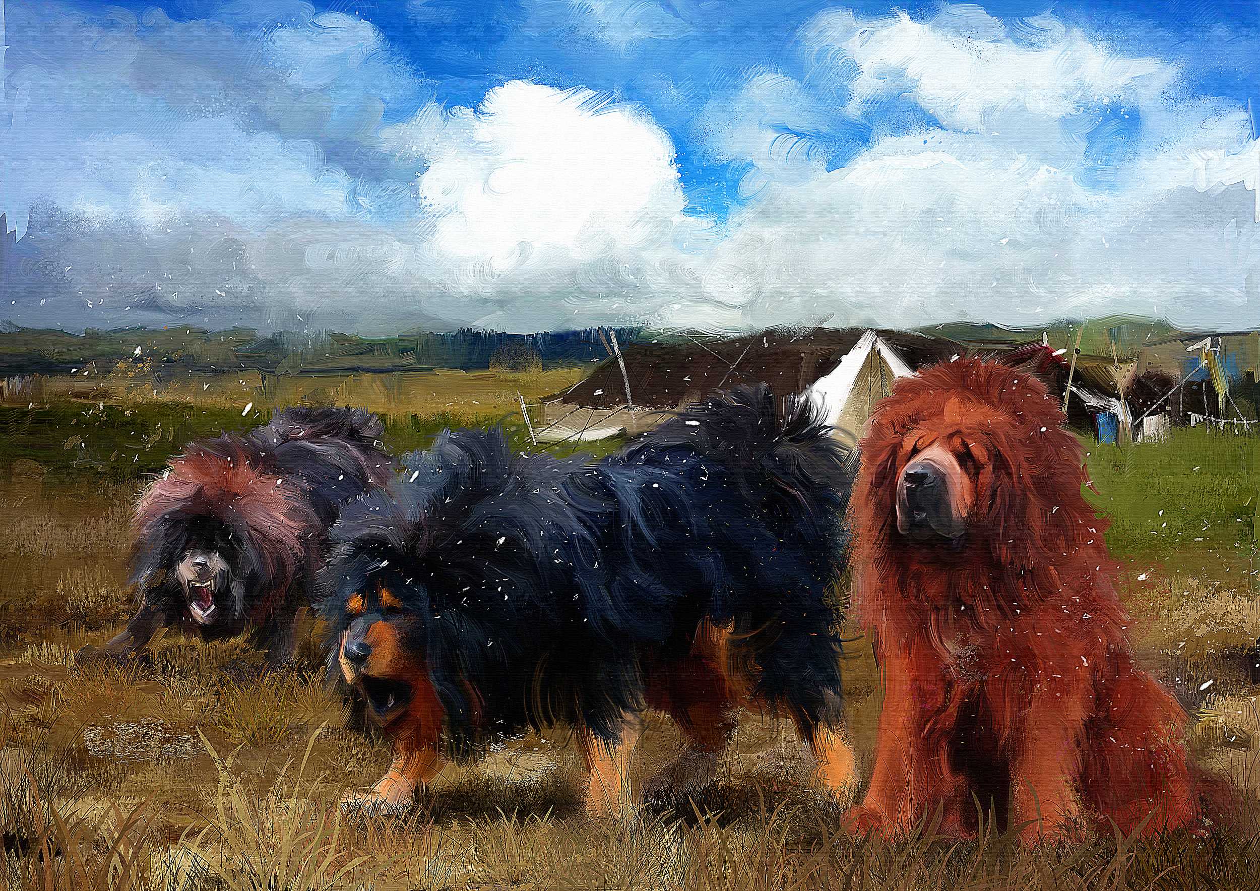 3000万买的藏獒沦为流浪犬后，被运往广西狗肉店