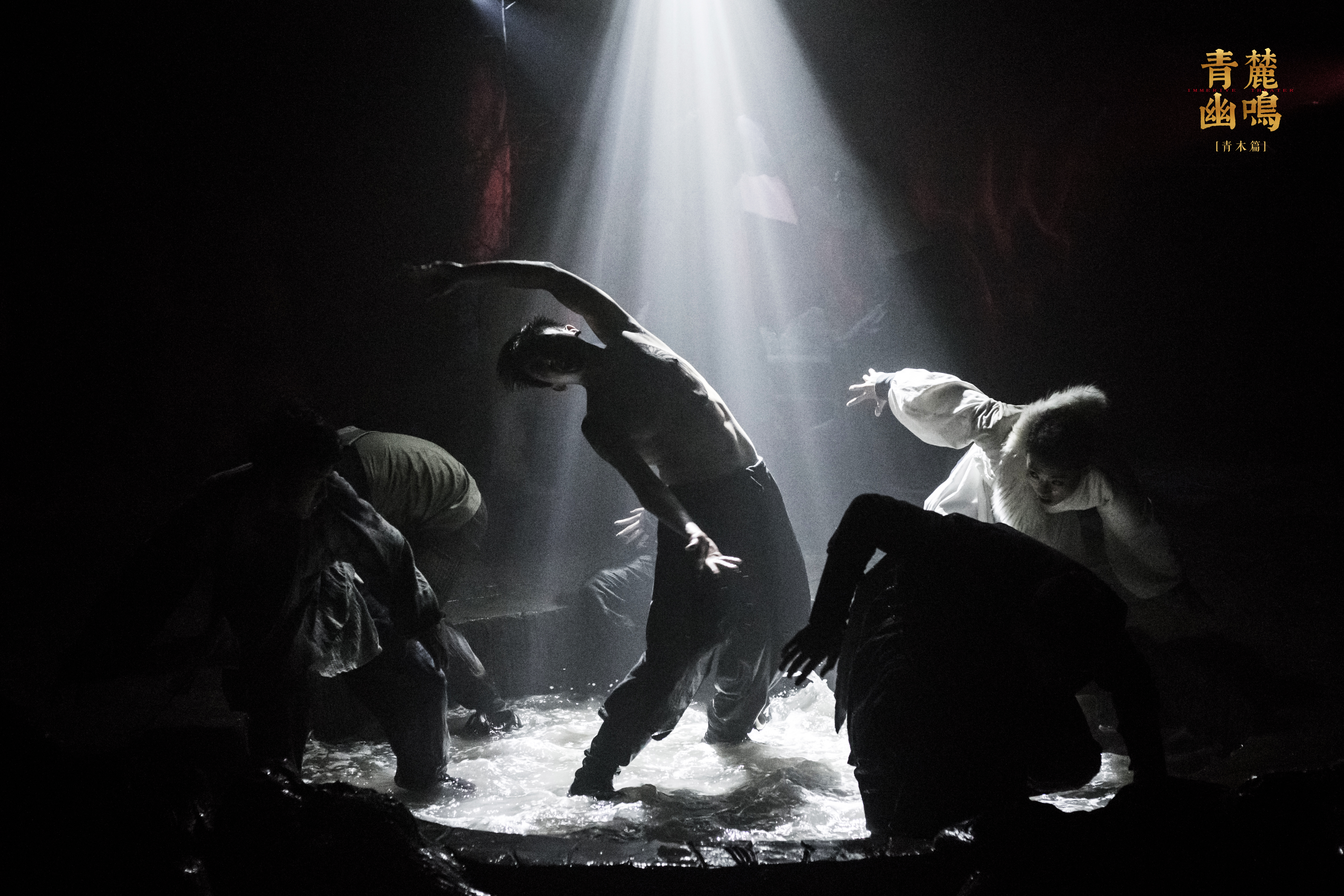 《青麓幽鸣&middot; 青木》剧照