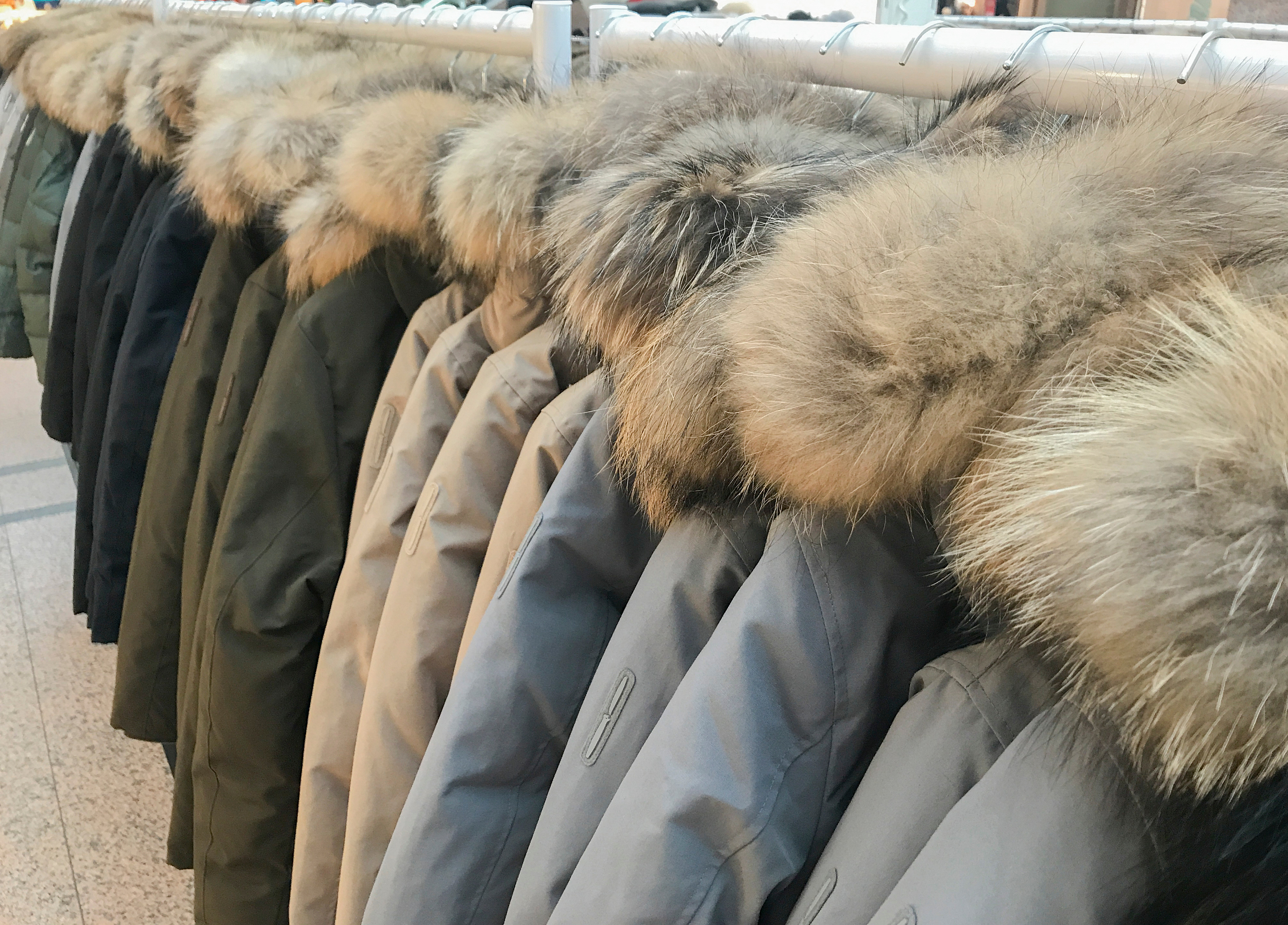 图片来源@视觉中国