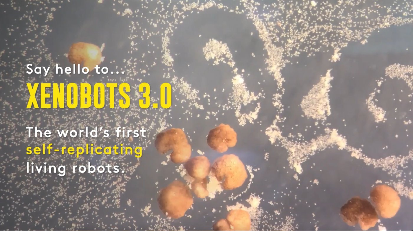 World's First AI-Designed Living Robots Can Now Replicate Themselves: U.S. Scientists