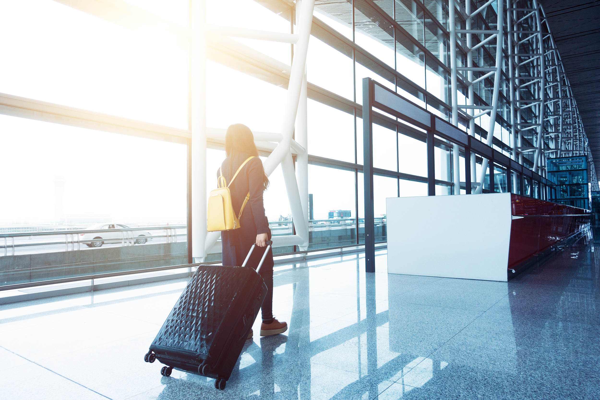 上一批中国动漫人已返乡