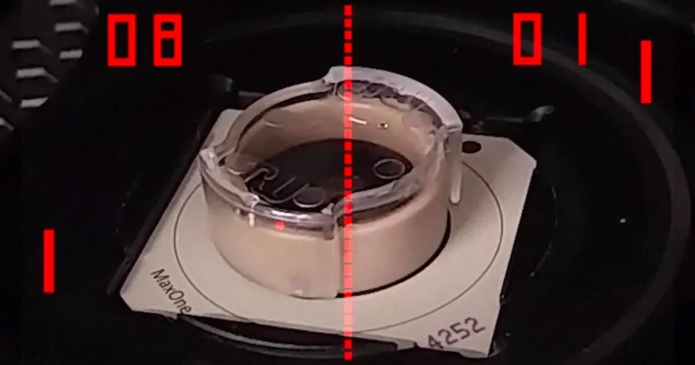 黑客帝国真的可以，这100万个「活体人脑细胞」5分钟学会打游戏