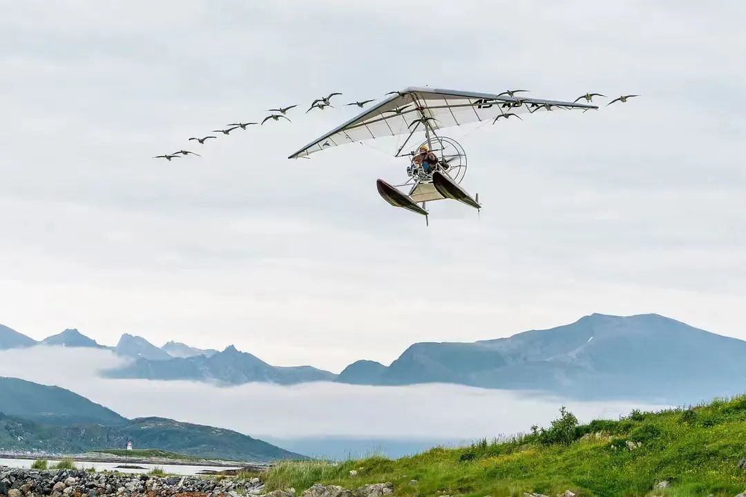 直播带货无法承载抖音电商的野心