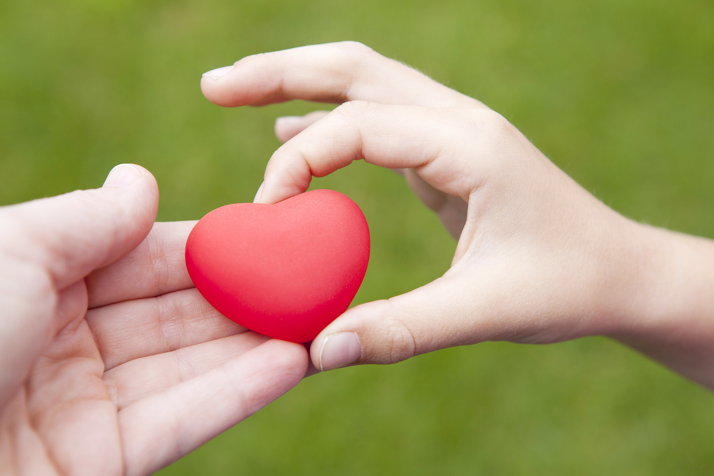 图片来源@视觉中国