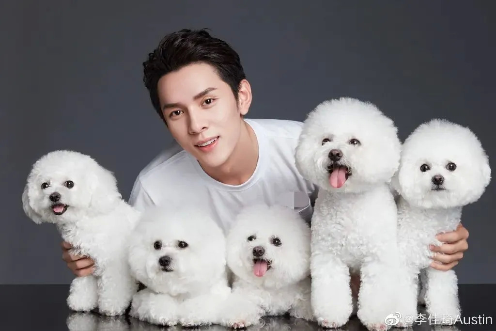 与李佳琦深度捆绑的“奈娃家族”，会成为中国的LINE FRIENDS吗？