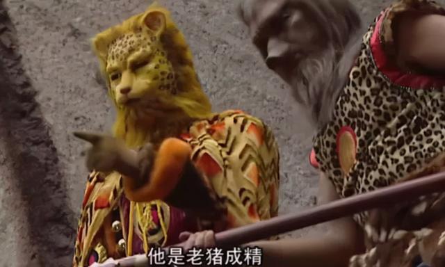 你的头像金钱豹了吗？