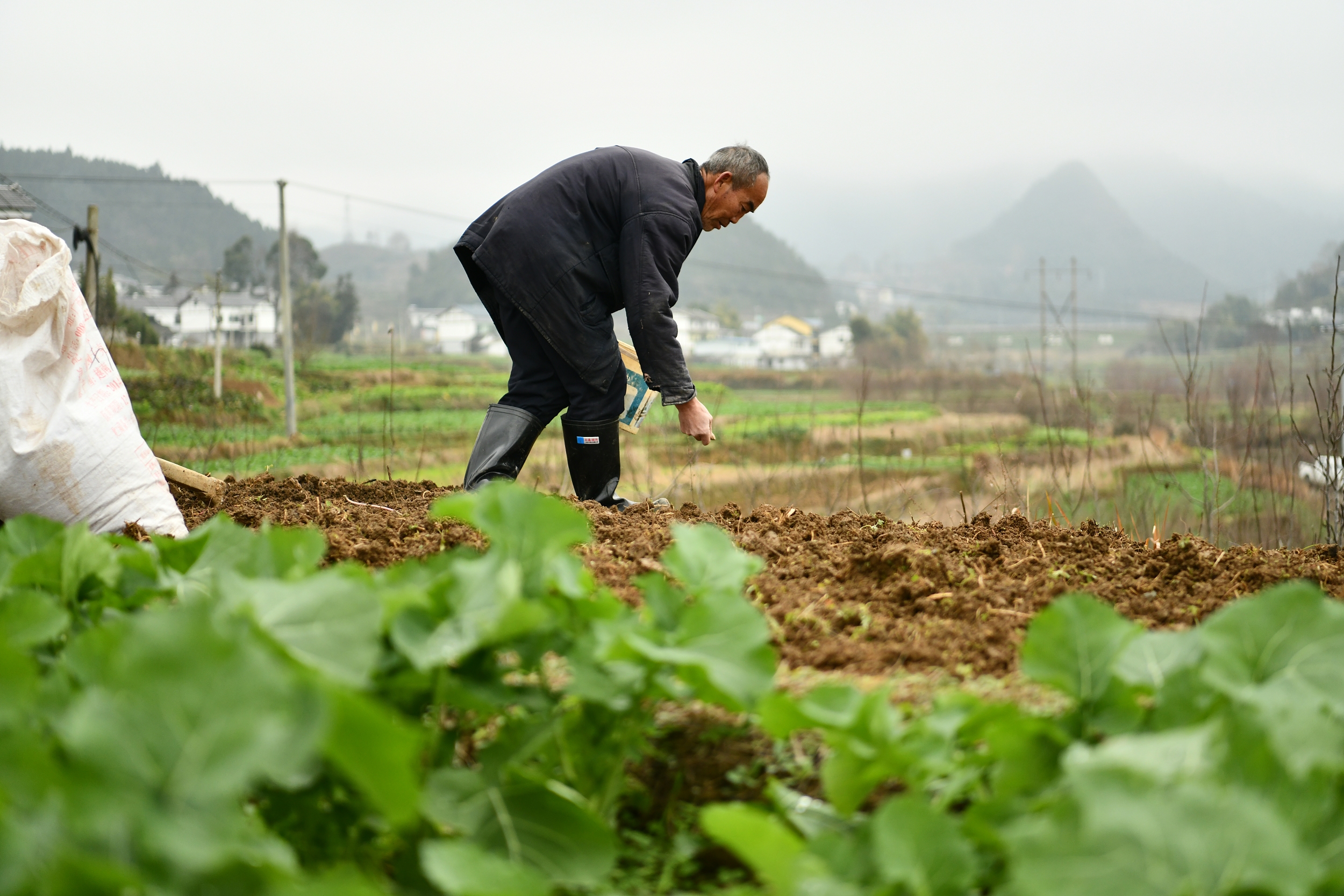 帅农鸟哥接棒张同学：还有多少个李子柒可以被复制？