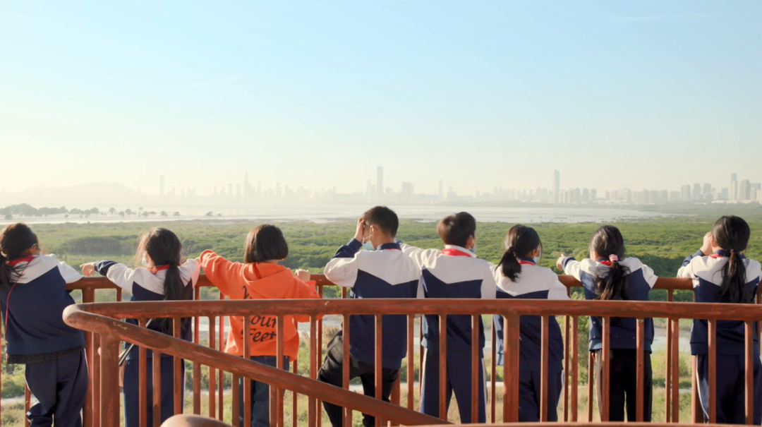 唯有大爱，可平山海：康佳以科技点亮乡村振兴之光 | 品牌