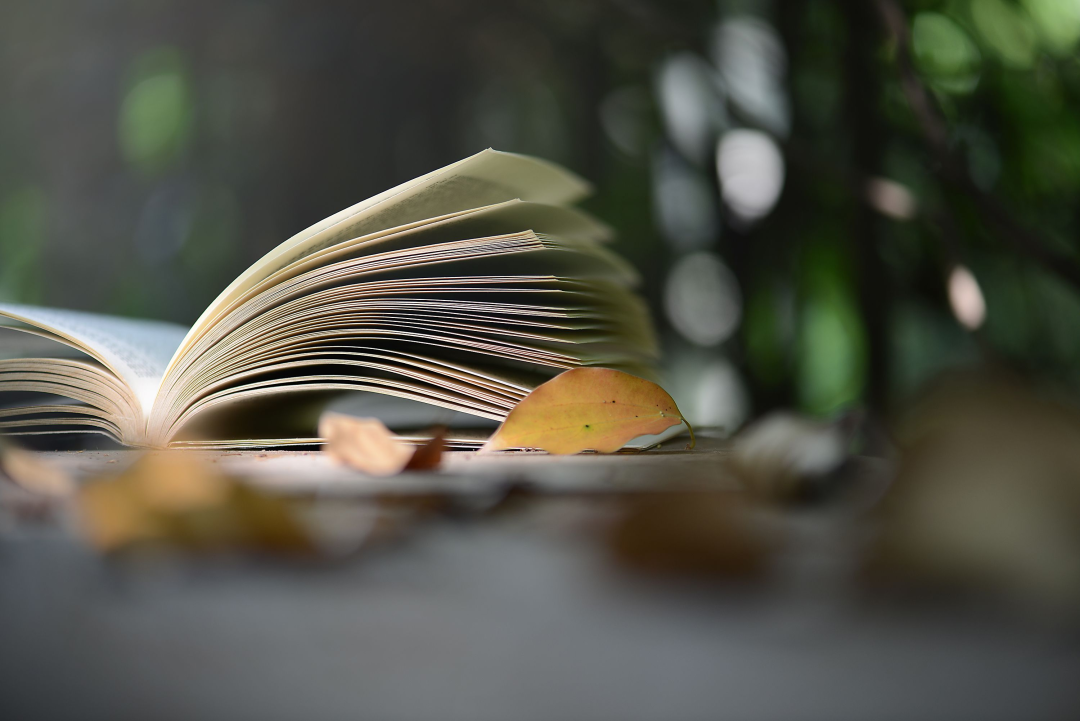 60天成月入过万的写手：这个时代还有什么是不能速成的？