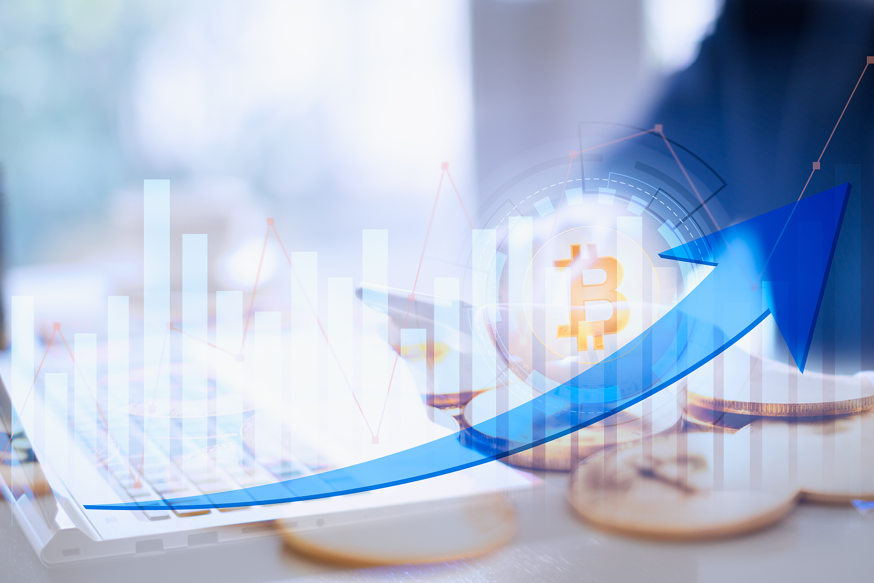 “风投教父”坠落