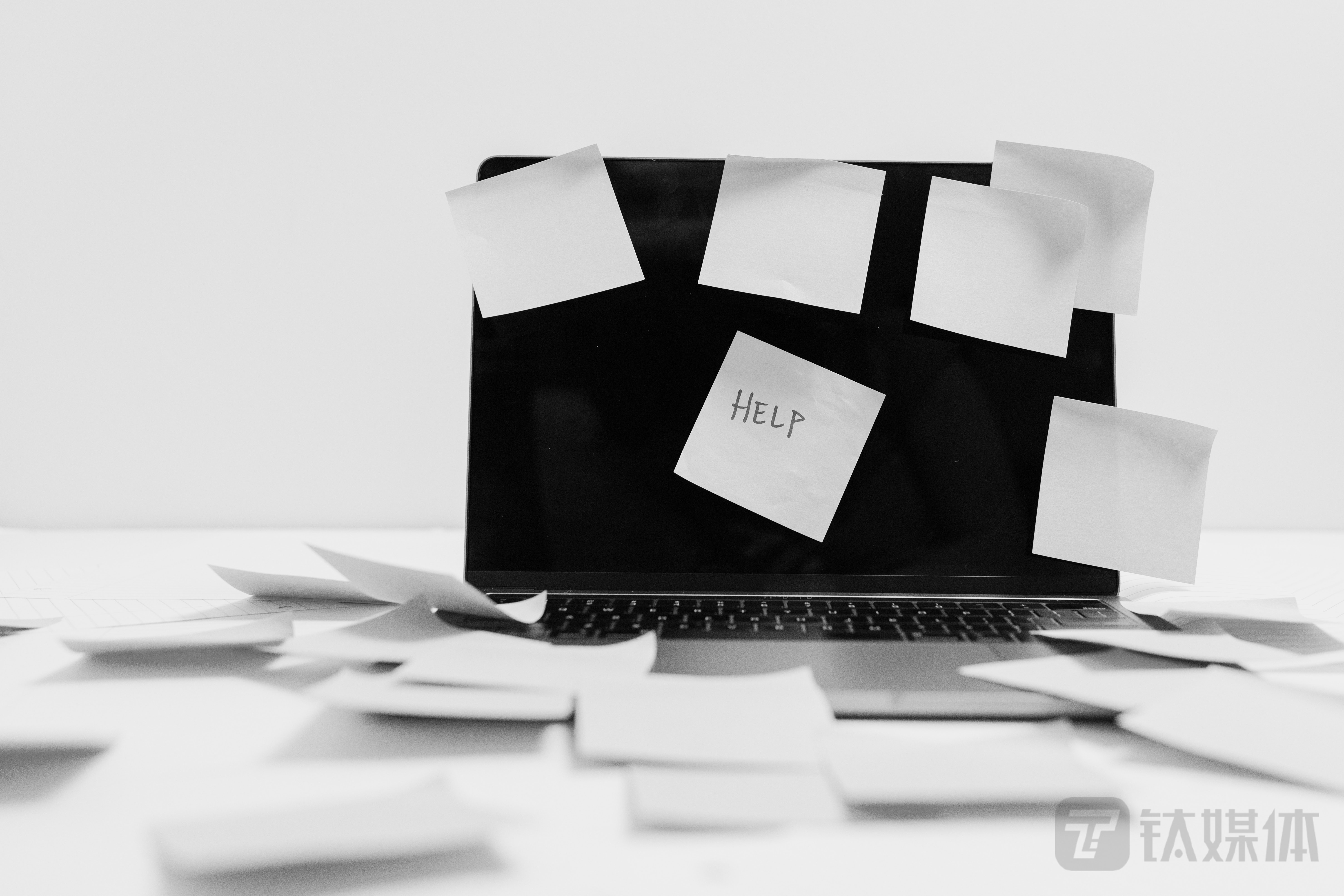 图片来源：pexels