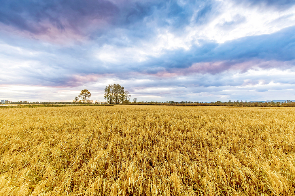 图片来源@视觉中国