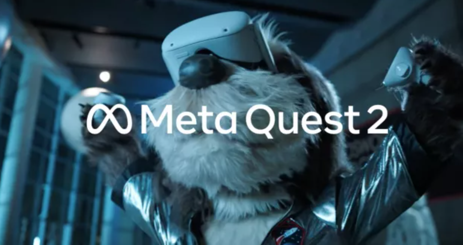 患上“远见病”的VR，不得不走进动物世界