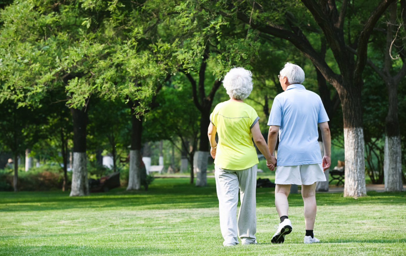 Delegate to NPC Calls for Internet Addiction Prevention Mechanism for the Elder
