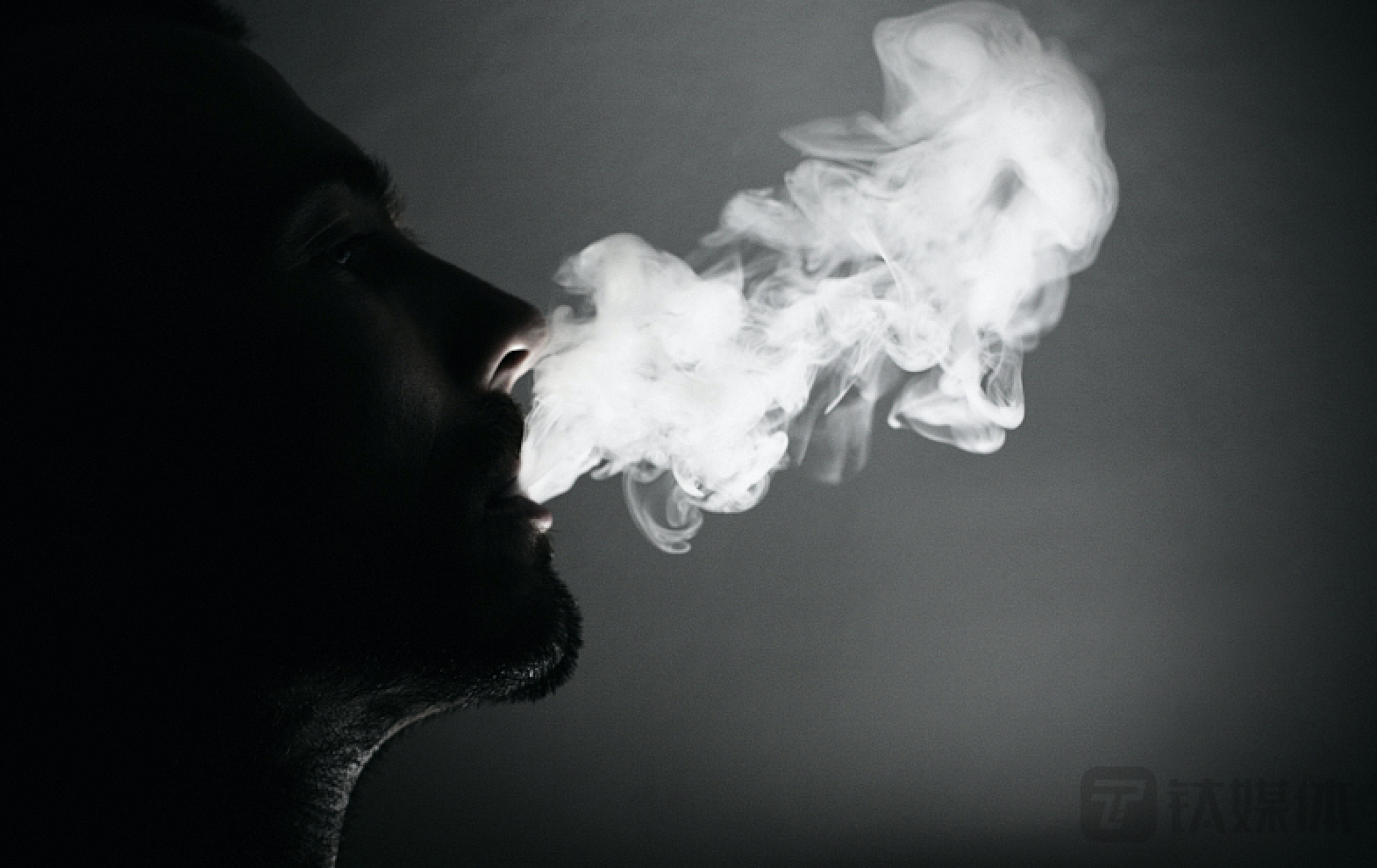 新玩家入局，老玩家腰斩，电子烟行业何时能够靠岸？｜钛度热评