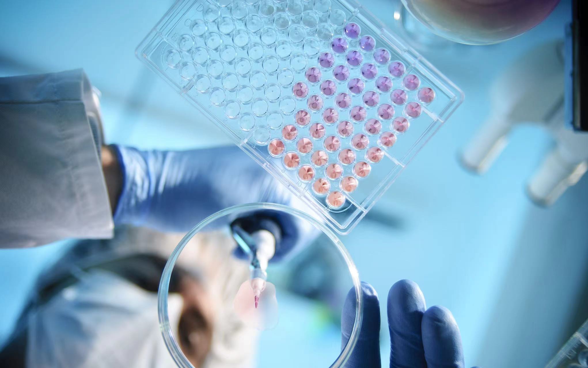 美国“清单”引发中概股“雪崩”，本土药企成最新目标？