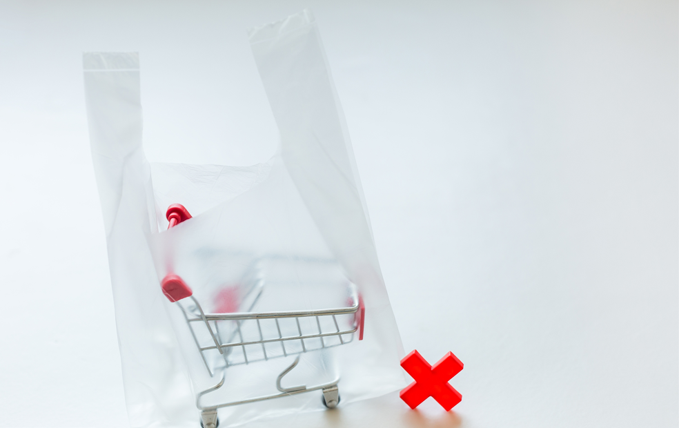 全球最严立法限塑令，会带来什么？