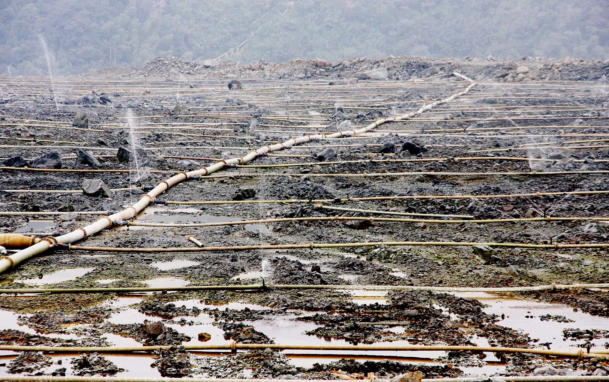 “妖镍”青山系发家史：抱团出海与巨额关联交易