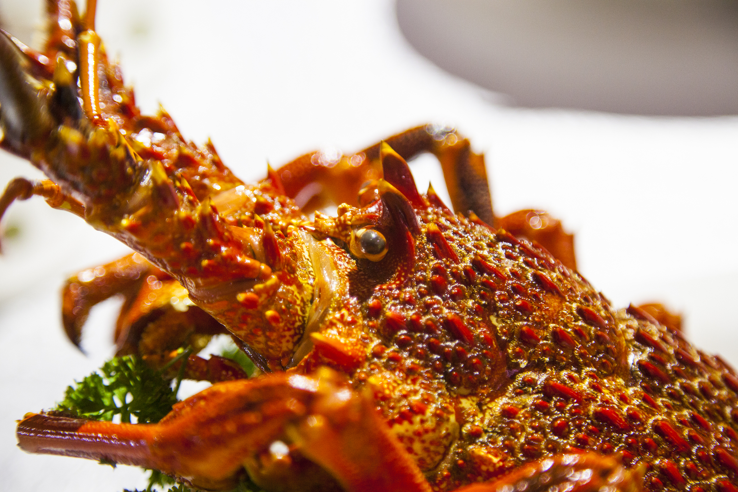 转型做快餐，贾国龙这次赌对吗？