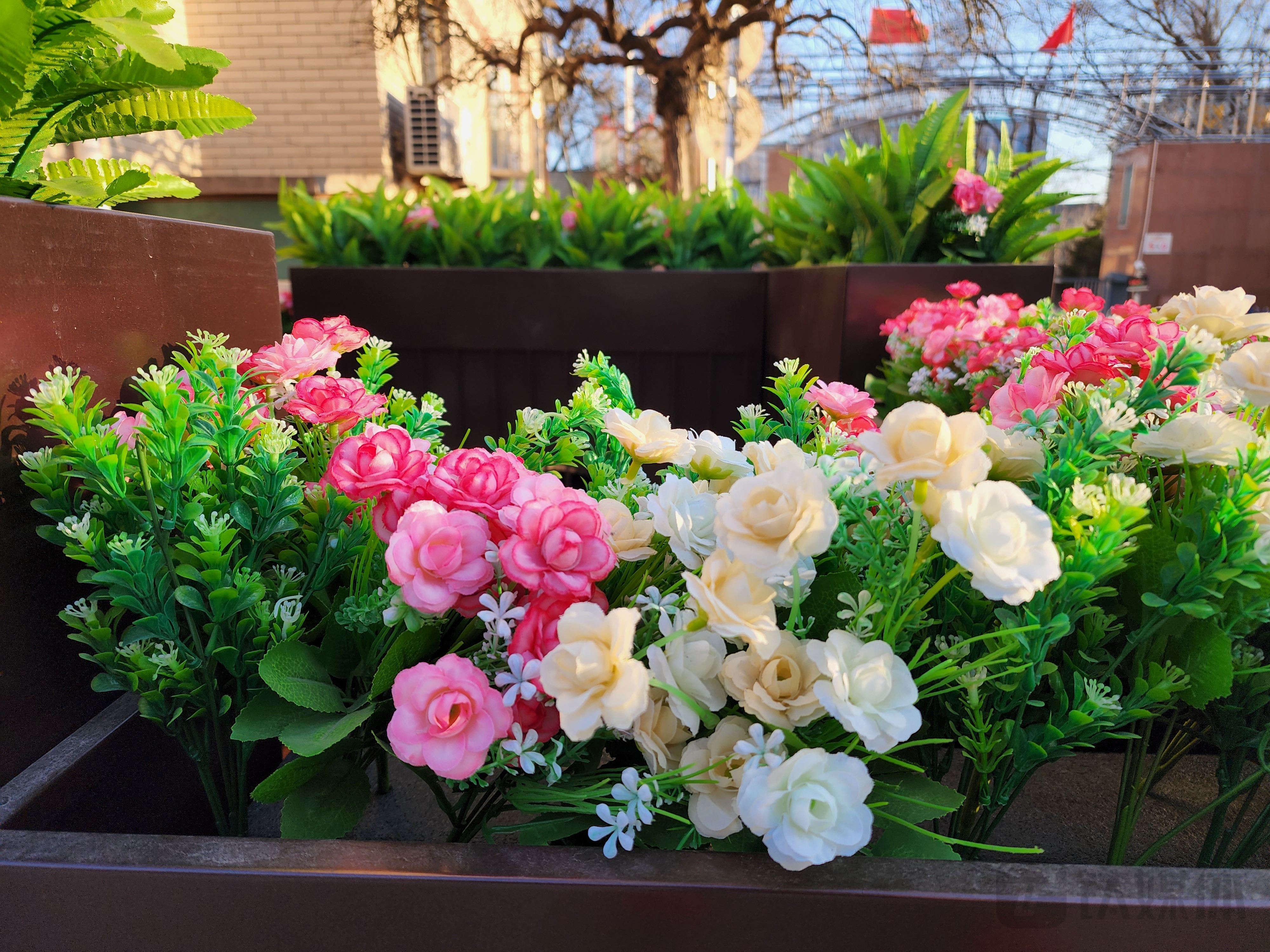 更多樣張 焦距：6.4mm 快門 1/200 光圈f/1.8 ISO16