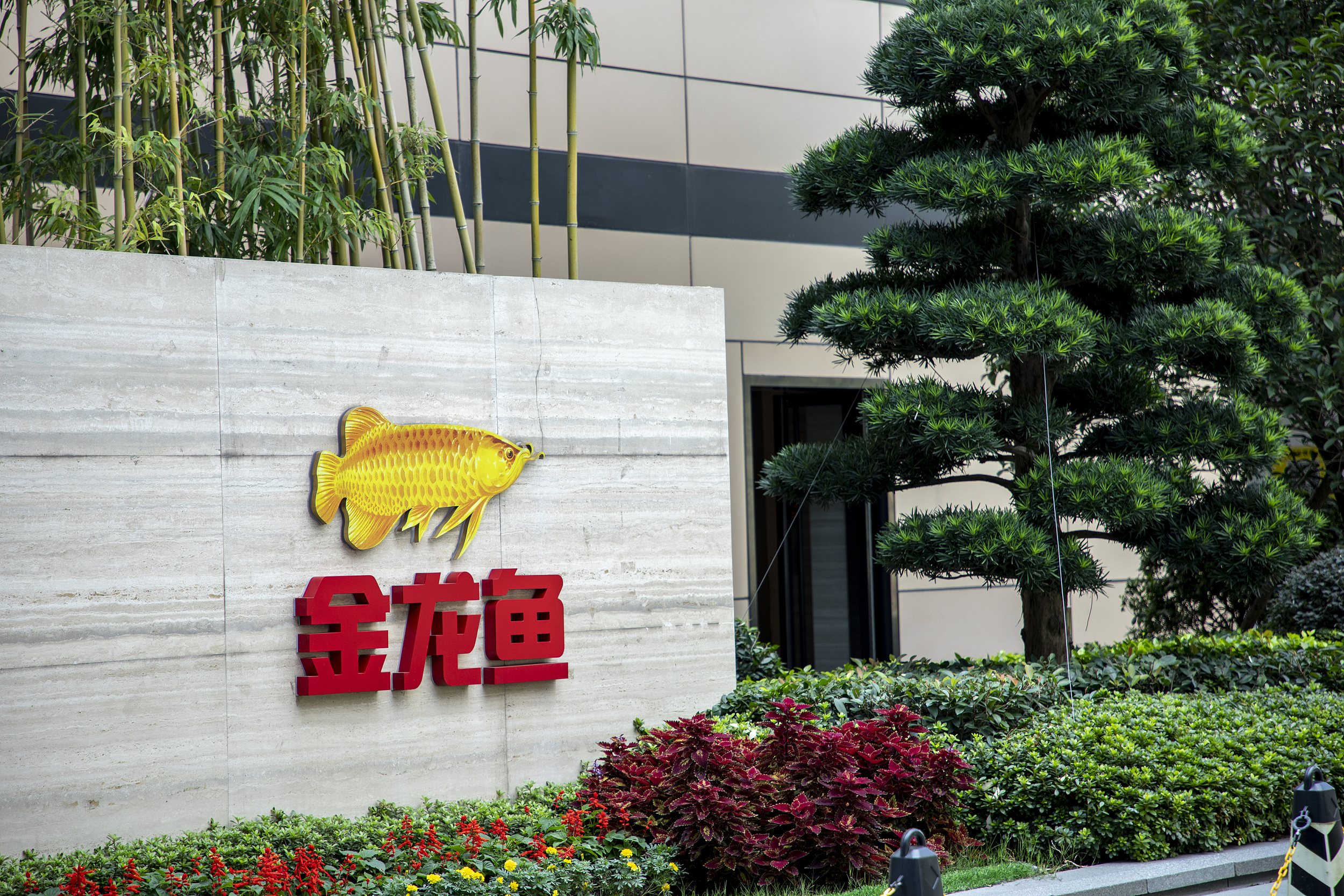 图片来源@视觉中国