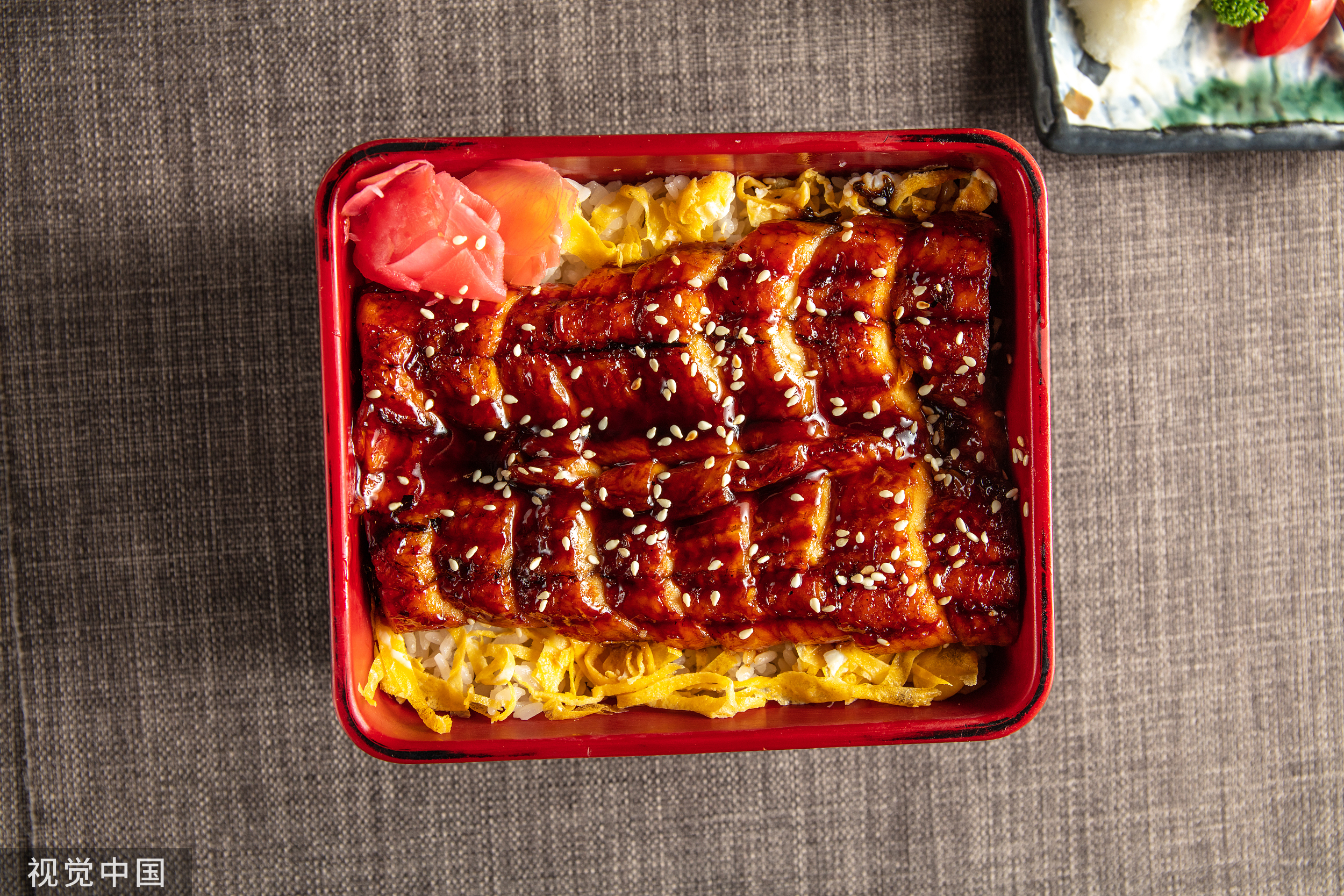 鳗鱼“游戏”，谁是赢家？