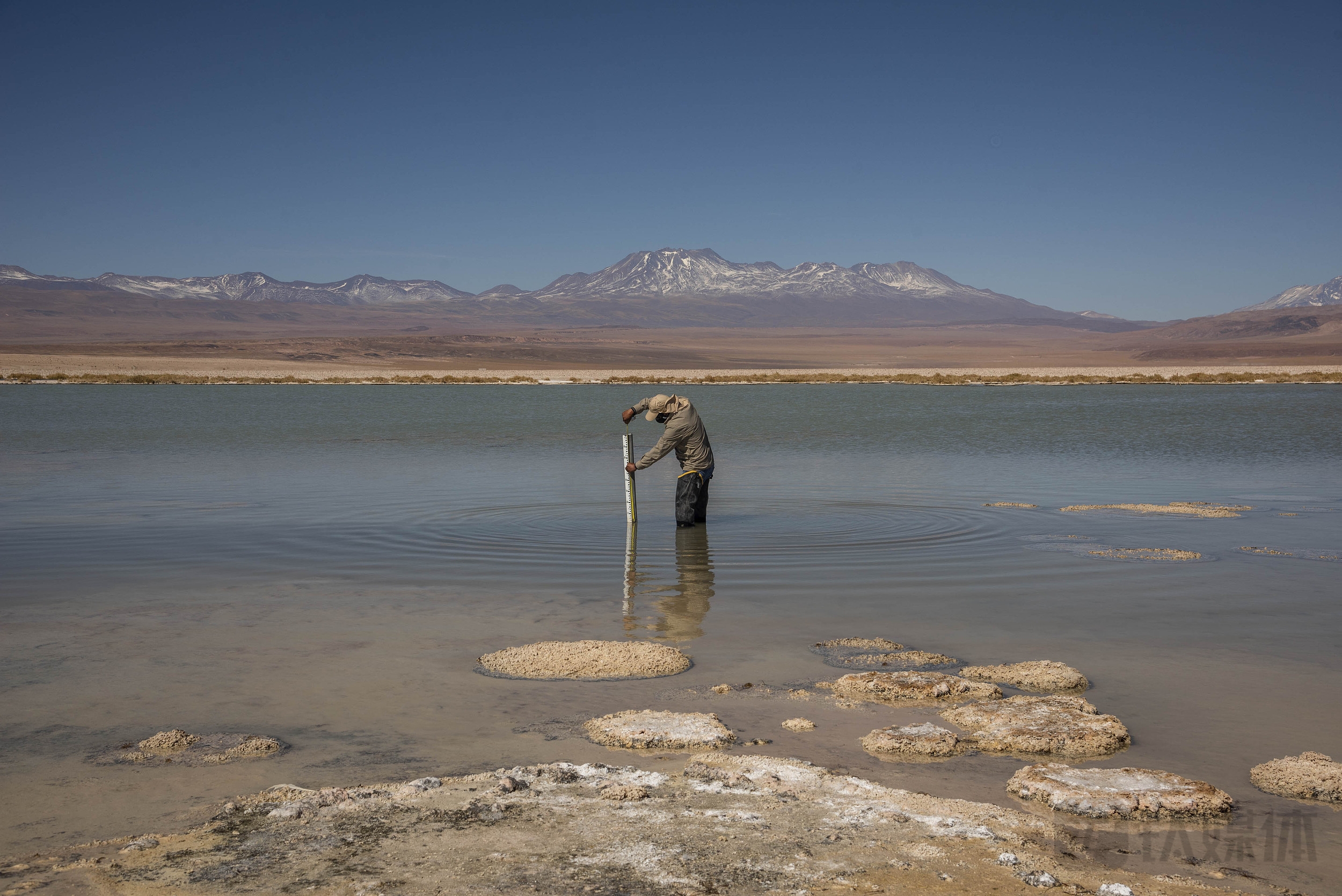 车企没“锂”难活