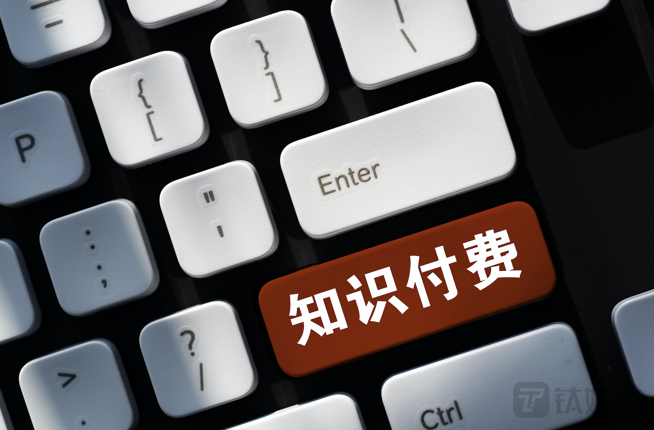 知识IP大航海时代，汹涌流量将流向何方？丨钛度热评