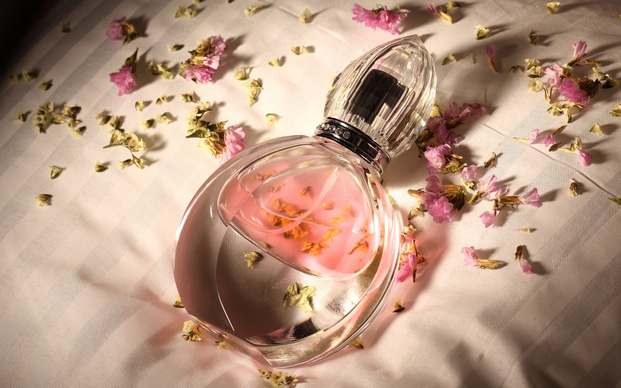 图片来源@视觉中国