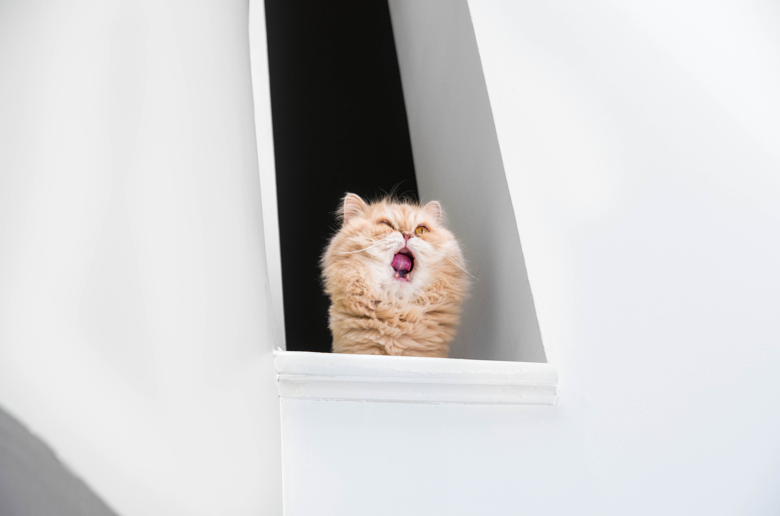 图片来源@视觉中国