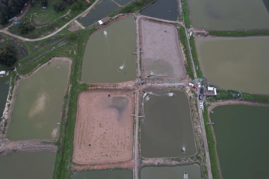 福清的鳗鱼养殖场范围颇大