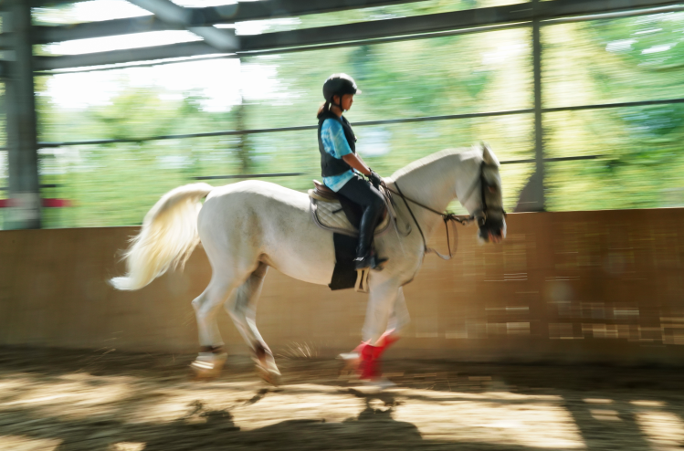 图片来源@视觉中国