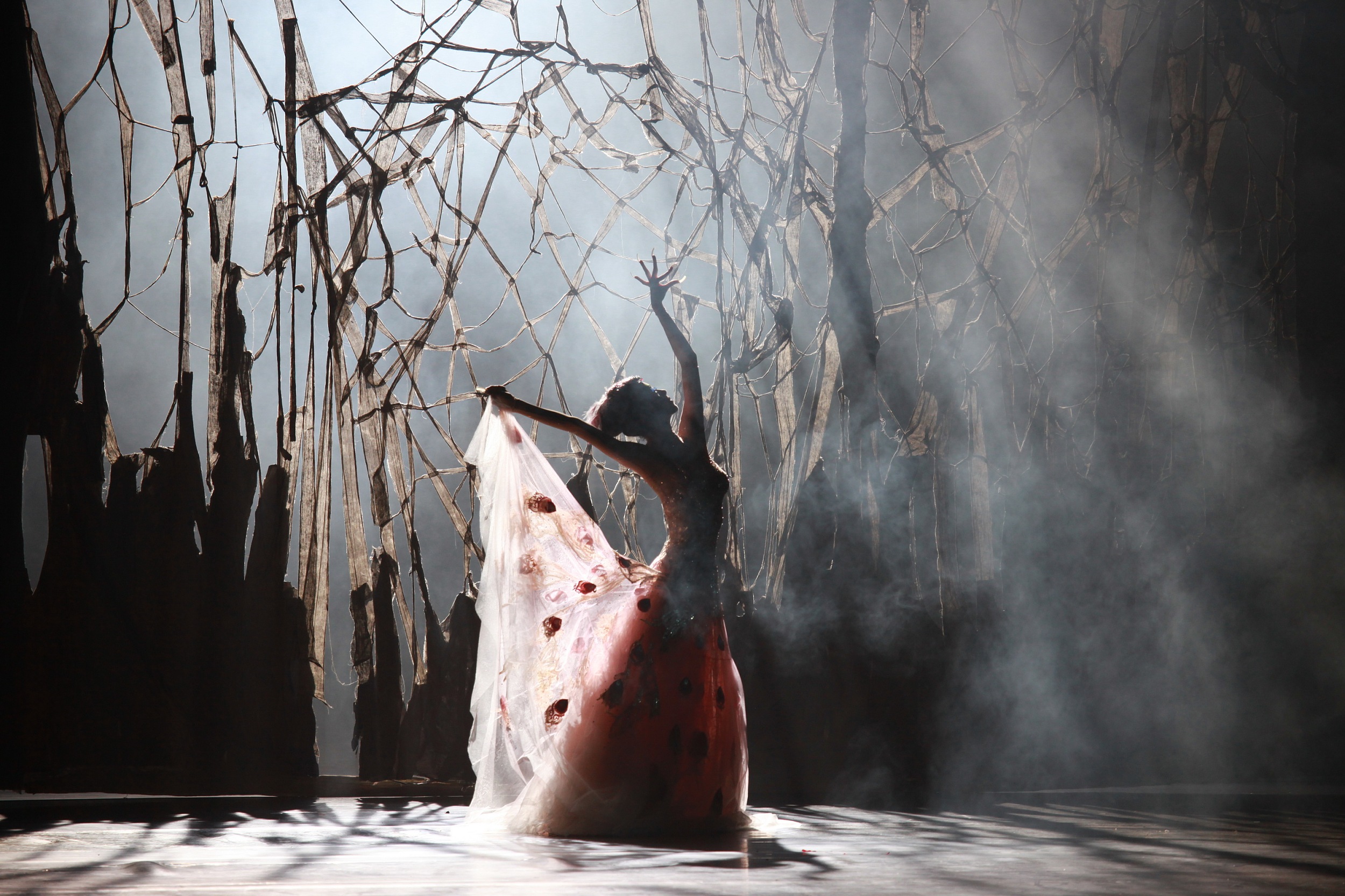 净亏损近4000万，股价离最高点下滑90%，杨丽萍的舞团撑不下去了